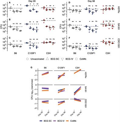 Host and pathogen genetic diversity shape vaccine-mediated protection to Mycobacterium tuberculosis